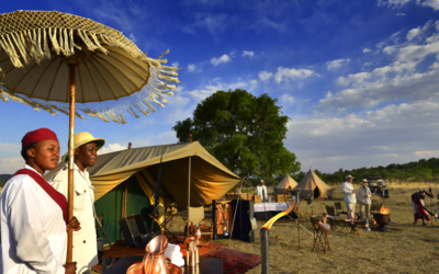 A TASTE OF WHAT IT TAKES TO HOST ‘CELEBRITY’ ON SAFARI: HOMAGE TO ‘MADIBA’ ON FREEDOM DAY 2017