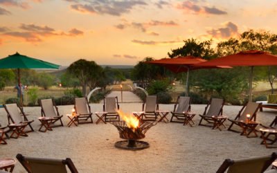 CONFERENCING WITH A TWIST OF SAFARI ADVENTURE