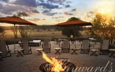YOUR SAFARI EVENT ENVIRONMENT MAKES A WORLD OF DIFFERENCE