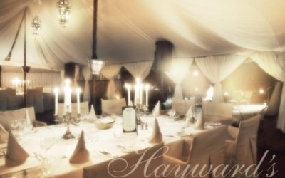 PUBLIC VERSUS PRIVATE SAFARIS: THE INCENTIVE EDGE IN AFRICA