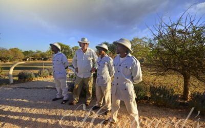 HAYWARD’S VOTED BY THE PUBLIC AS A FINALIST IN THE SANLAM TOP DESTINATION AWARDS 2017.