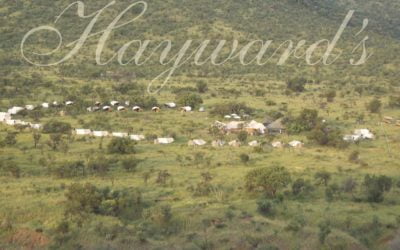 EVENT PLANNERS WILL WIN CLIENTS’ HEARTS WITH THIS LUXURY TENTED CAMP