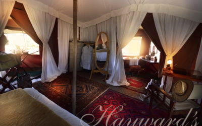 THE BIG 5 TENTED SAFARI TRAVEL EXPECTATION IN SOUTH AFRICA